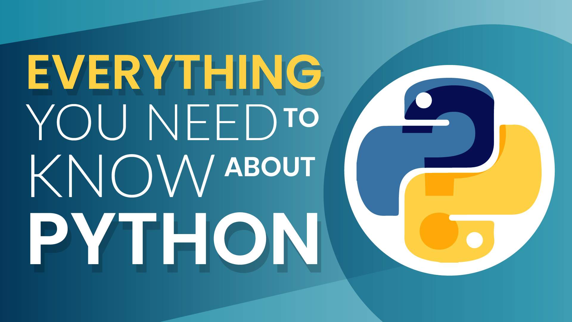 Exploring the Vast Applications and Uses of Python